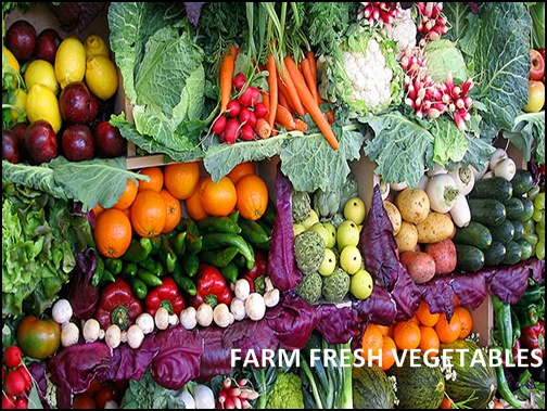 FARM FRESH VEGETABLES